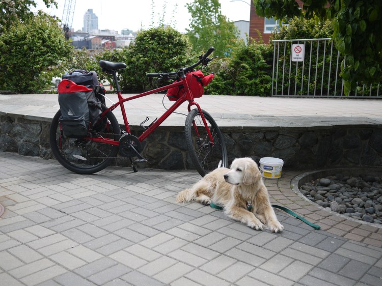 Photo of a bicycle laden with bags. A dog is lying down next to it.
