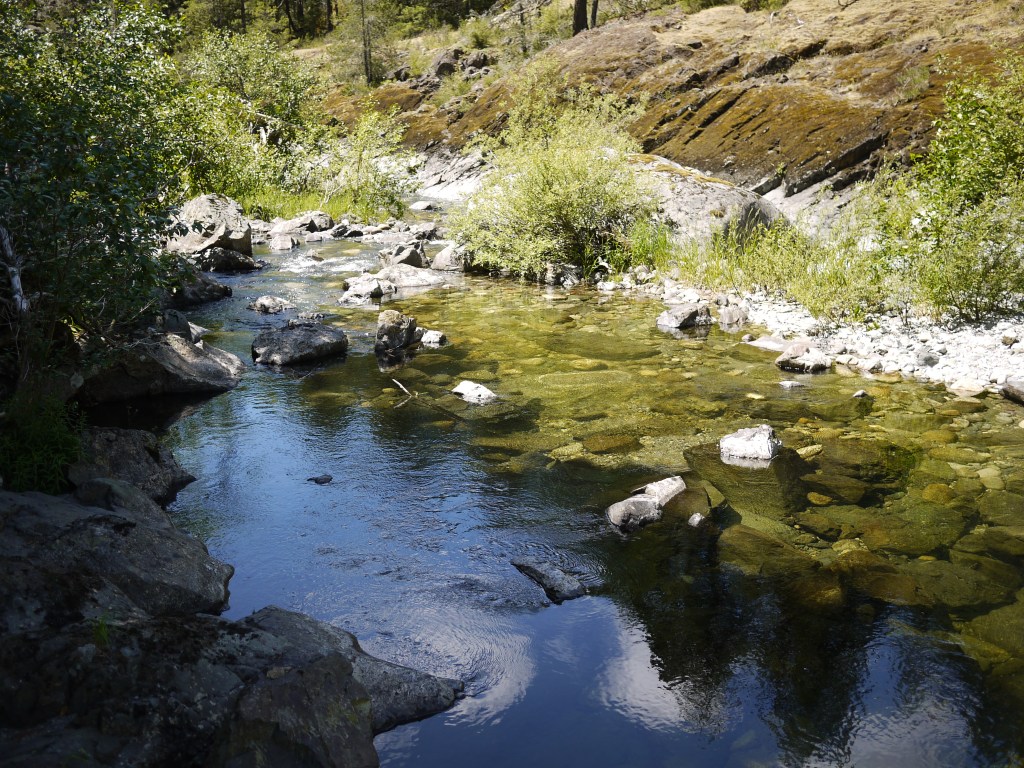 Photo of a Sooke rock pool